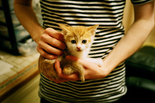 开云中国大陆-中国象棋协会发布象棋赛事赞助管理办法，举办象棋大赛