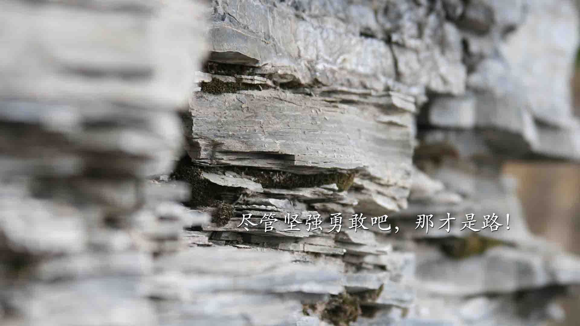 争冠热门不容忽视！拜仁主场大胜，全队势如破竹，拜仁对战