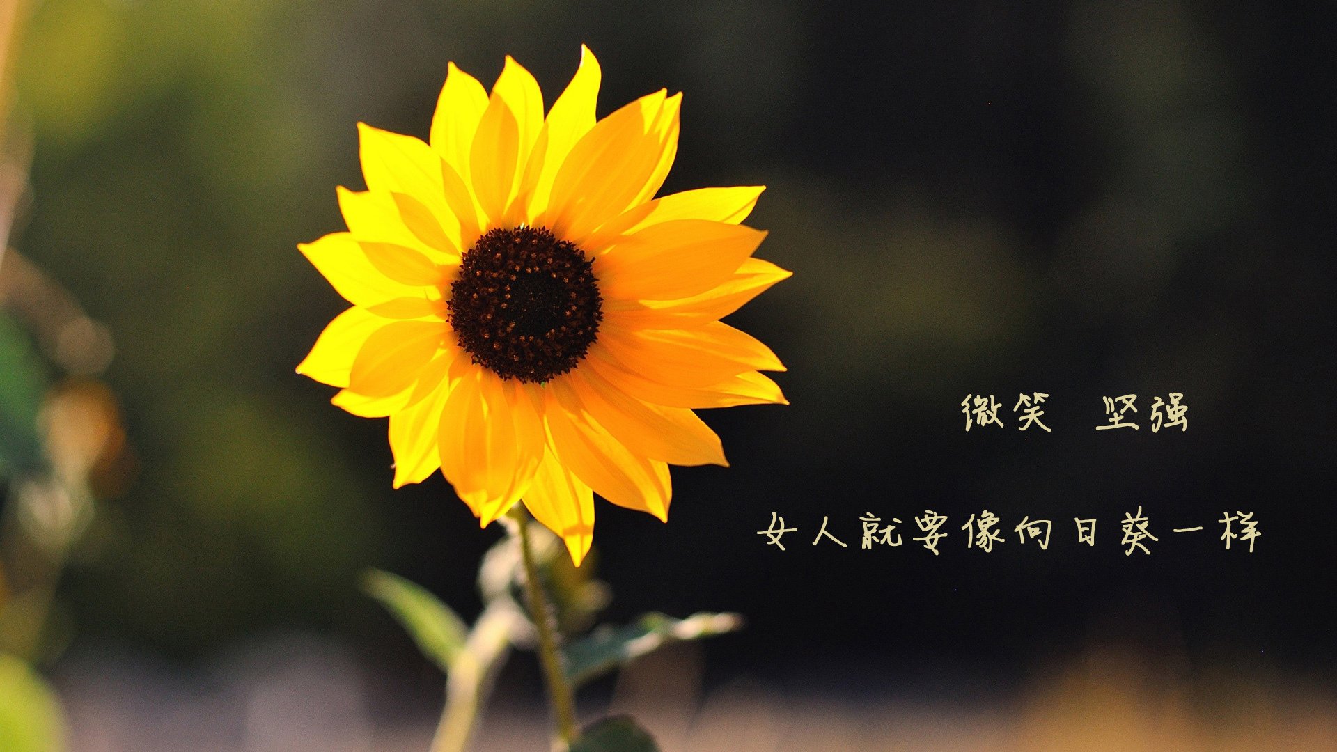 国足首发阵容试验多套组合,2021国足首发