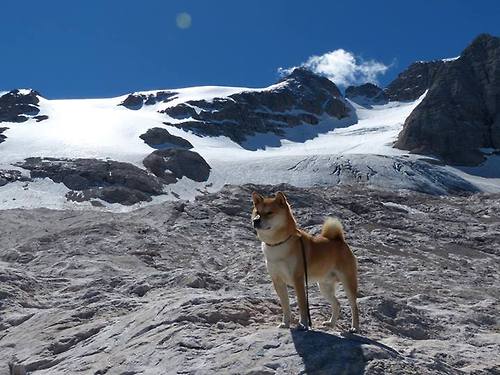 开云·体育官网APP下载-沈默城市新冠市将对阵后阳州，胜负之间鲜明对比！