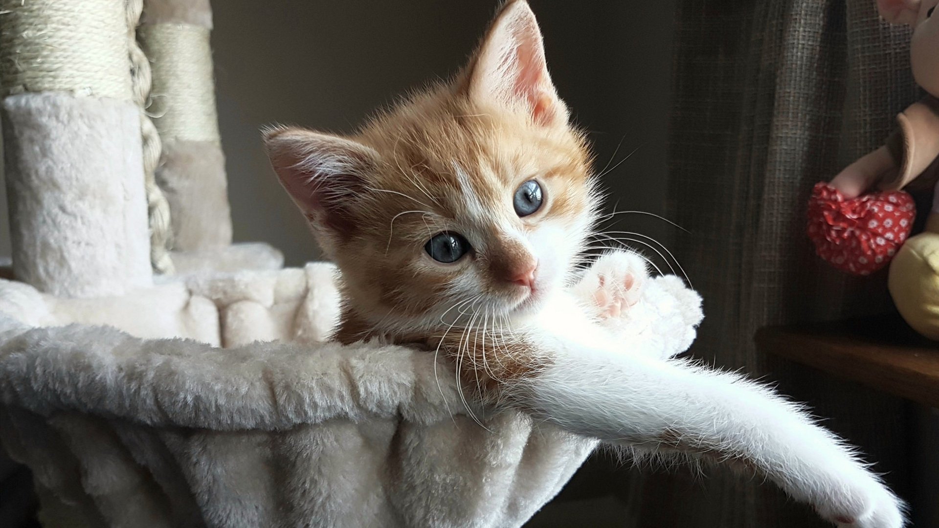 Kaiyun(中国)开云-河床替补阵容深度提升，河床队又叫什么