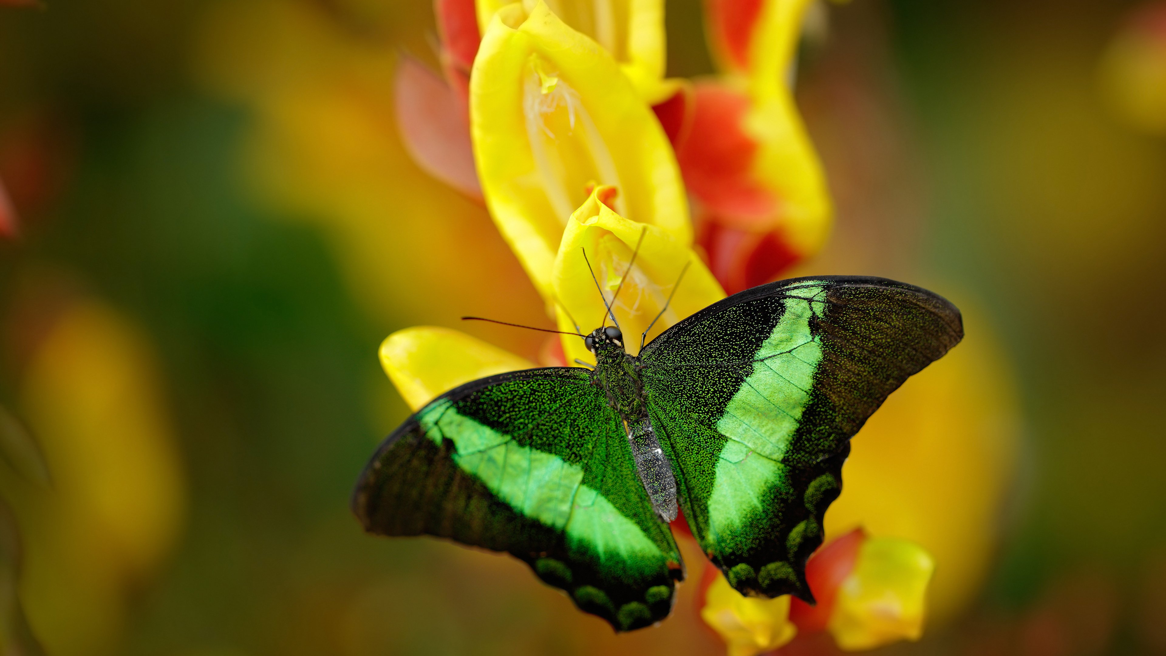 开云官方网站-沈阳明日星队员气势如虹，备战积极，沈阳明日宇航工业有限责任公司