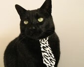 江苏猛虎队大胜广东篮球队,领跑积分榜,江苏广东篮球直播cba直播回放