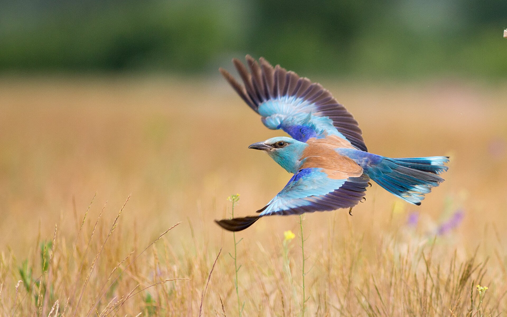 高质量比赛吸引观众目光,场面精彩纷呈,吸引人参加比赛的宣传标语