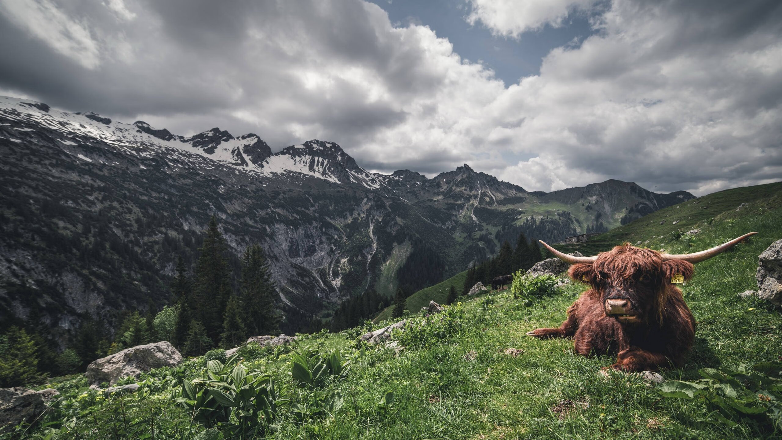 开云中国-中国足球高密度对抗数据分级，中国足球高密度对抗数据分级分析
