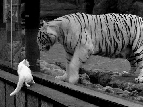 开云官网-中超边后卫助攻占比变化，中超后卫外援有哪些