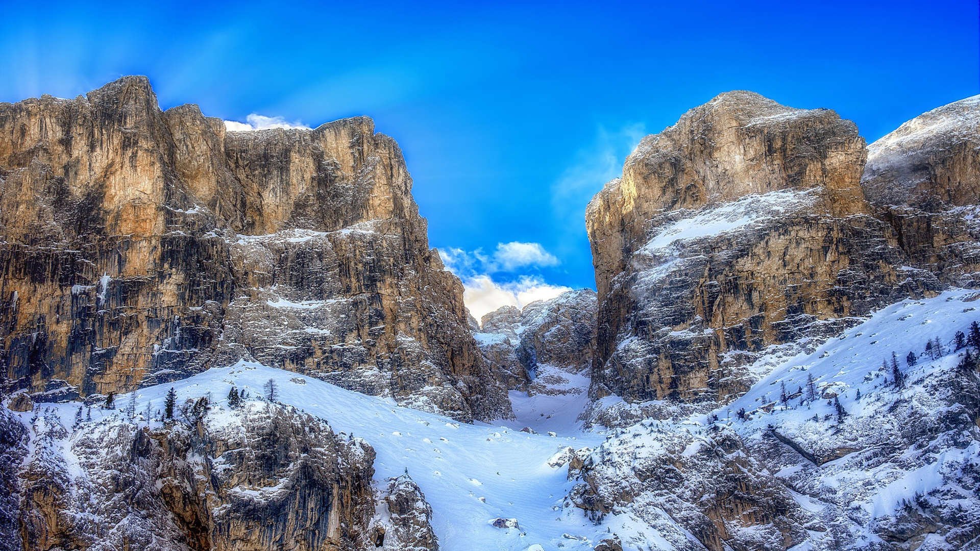 高校运动队管理体制改革研究,高校运动队建设