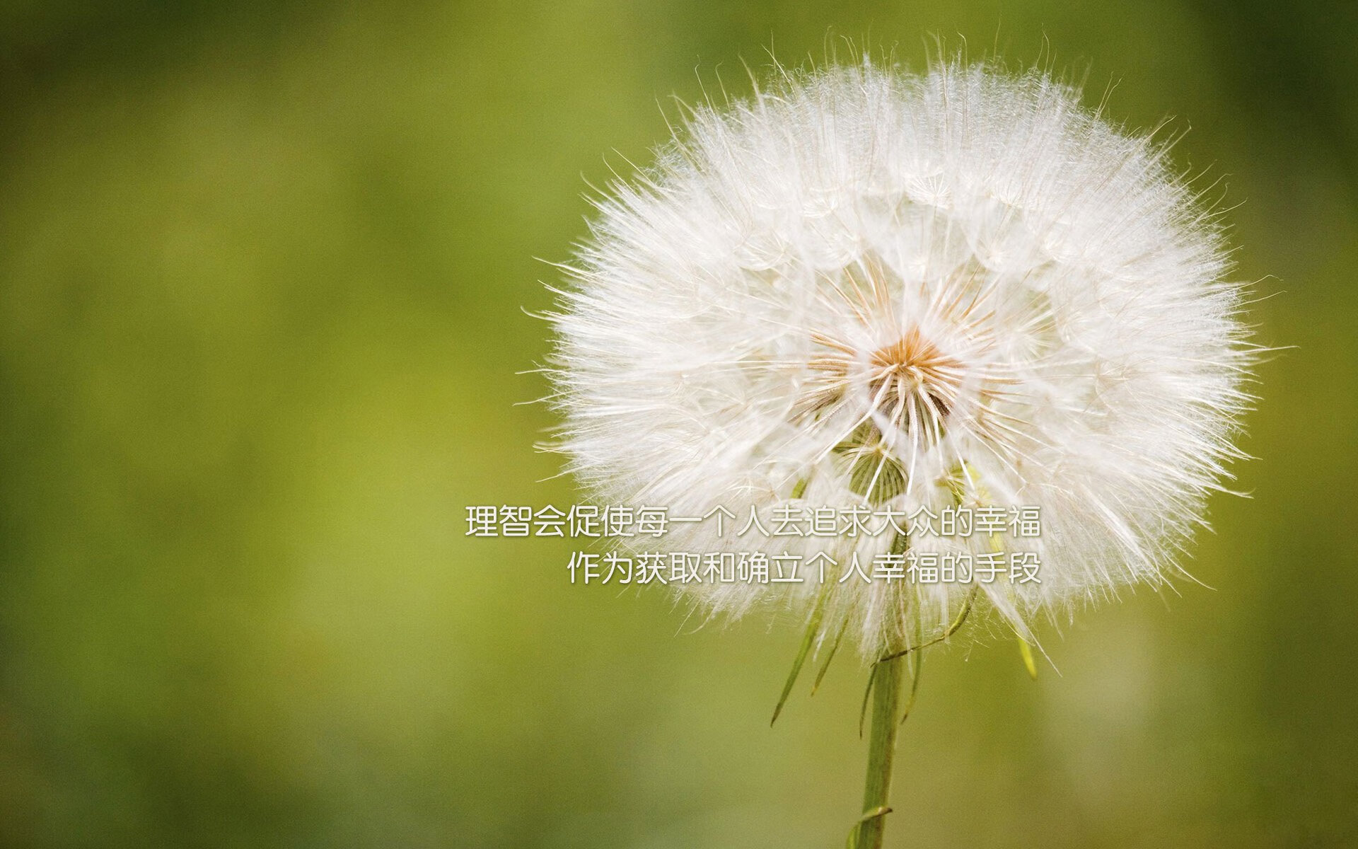 开云·体育官网-澳大利亚队在团队赛制下的表现如何改变未来发展轨迹，澳大利亚队怎么样