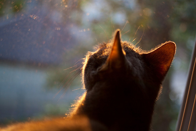开云平台-王宗源赛场风采尽显未来之星，王宗源vlog