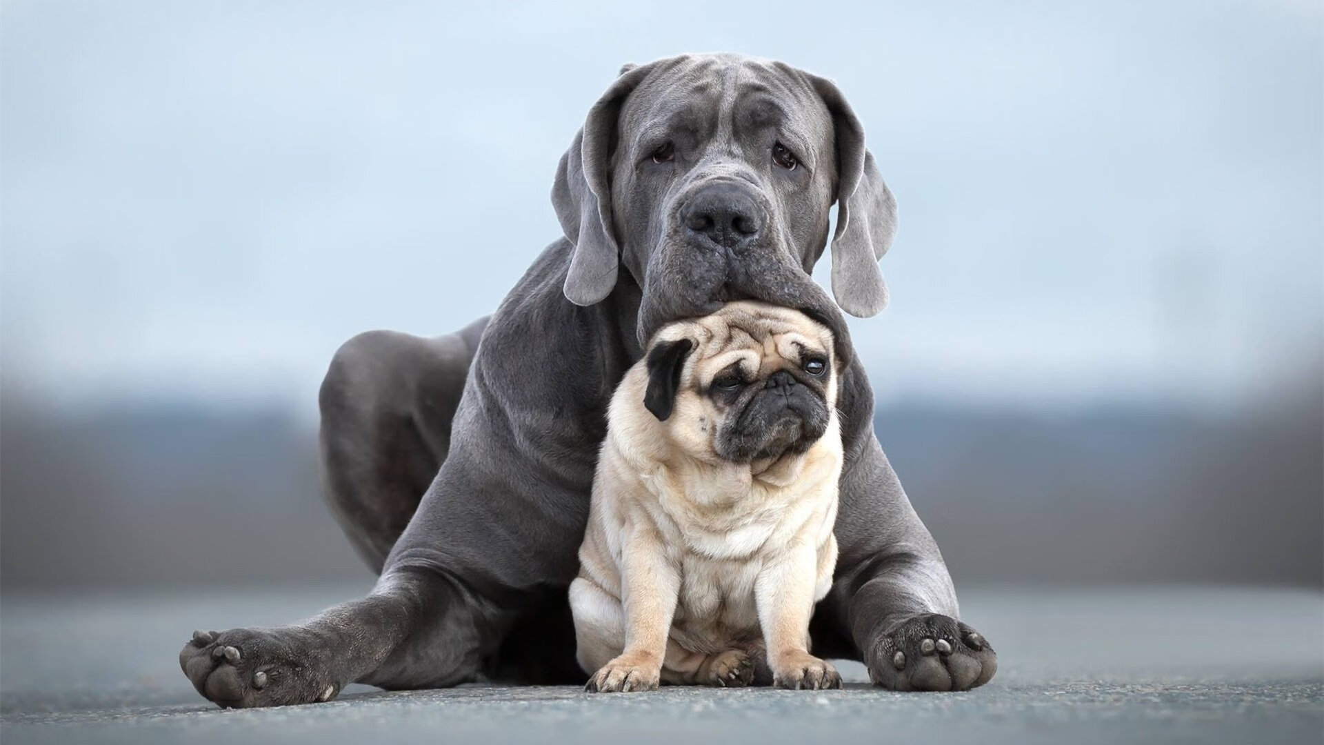 詹姆斯新赛季前瞻目标直指总冠军，詹姆斯2022赛季