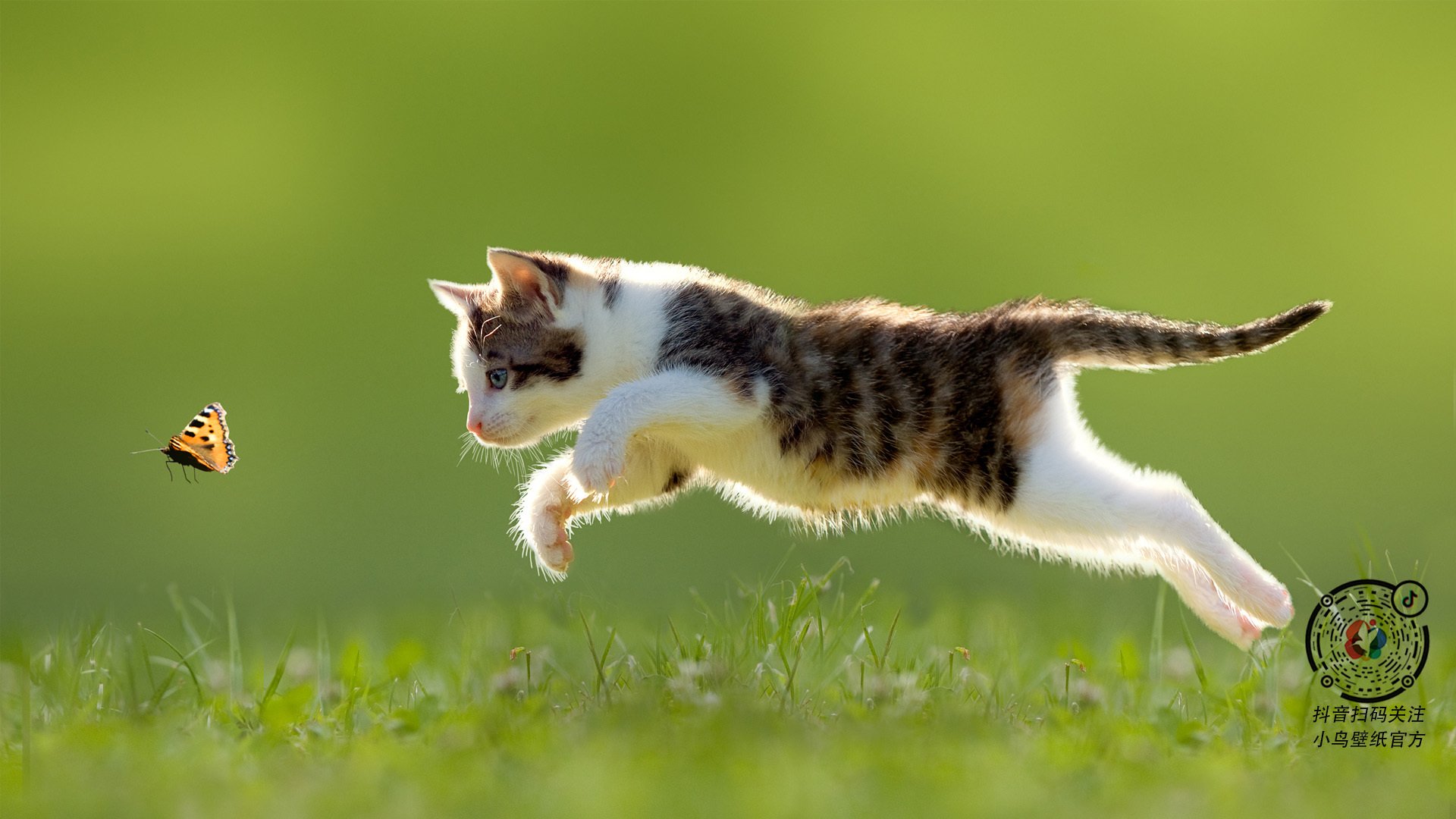 赛后热图分析揭示跑动距离变化与得失球之间存在强相关性，球员跑动距离数据