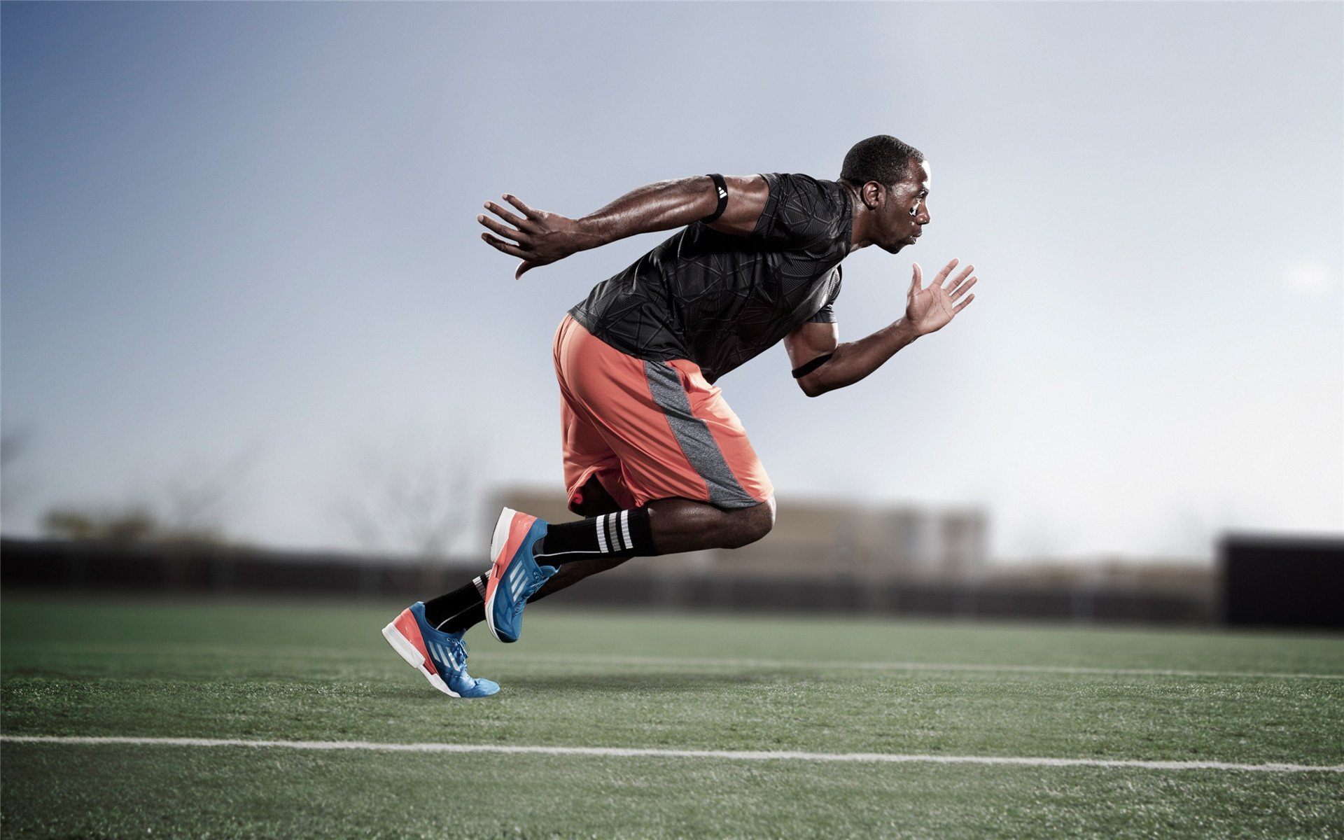 _夜空星光马拉松：在星光中追逐梦想_，星空马场